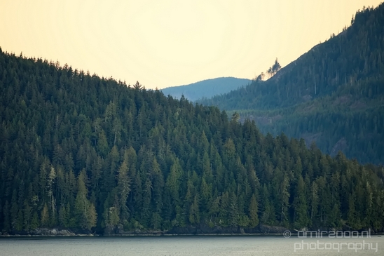 Port_Renfrew_nature_landscape_British_Columbia_Canada_Usa_Photography_033_Canon_EOS_5D_Mark_IV.JPG