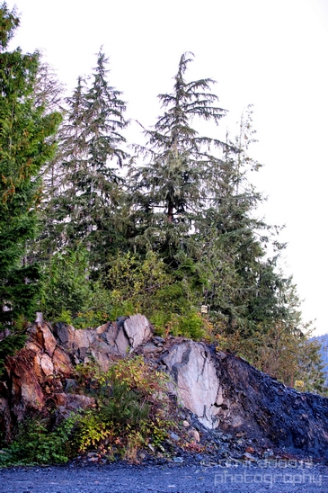 Port_Renfrew_nature_landscape_British_Columbia_Canada_Usa_Photography_036_Canon_EOS_5D_Mark_IV.JPG