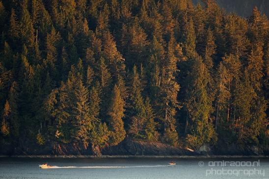 Port_Renfrew_nature_landscape_British_Columbia_Canada_Usa_Photography_040_Canon_EOS_5D_Mark_IV.JPG