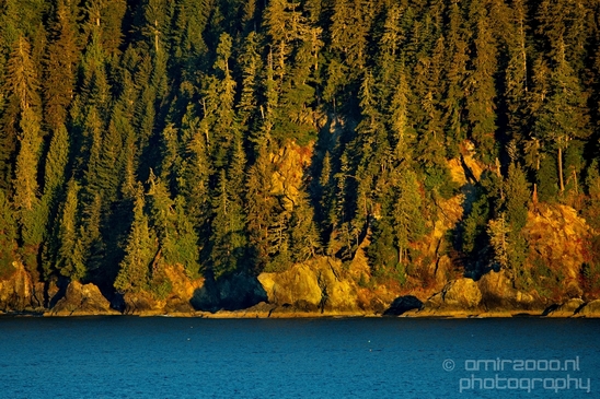 Port_Renfrew_nature_landscape_British_Columbia_Canada_Usa_Photography_044_Canon_EOS_5D_Mark_IV.JPG