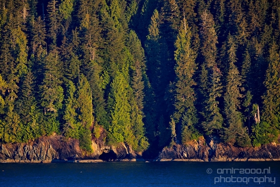 Port_Renfrew_nature_landscape_British_Columbia_Canada_Usa_Photography_045_Canon_EOS_5D_Mark_IV.JPG