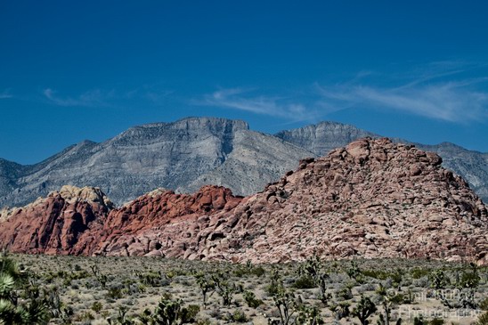 Red_Rock_Canyon_Nevada_USA_Nature_Photography_006_Canon_EOS_7D.JPG