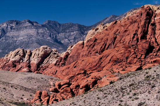Red_Rock_Canyon_Nevada_USA_Nature_Photography_008_Canon_EOS_7D.JPG