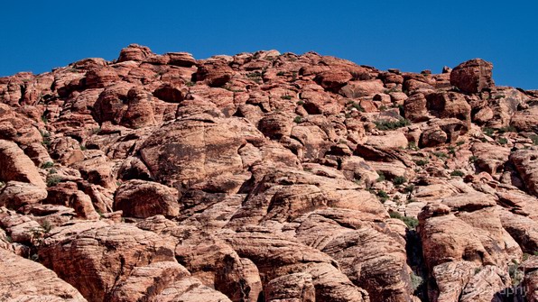 Red_Rock_Canyon_Nevada_USA_Nature_Photography_013_Canon_EOS_7D.JPG