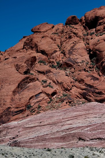 Red_Rock_Canyon_Nevada_USA_Nature_Photography_018_Canon_EOS_7D.JPG