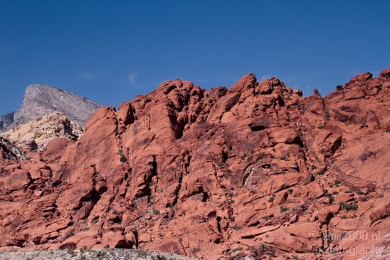 Red_Rock_Canyon_Nevada_USA_Nature_Photography_019_Canon_EOS_7D.JPG