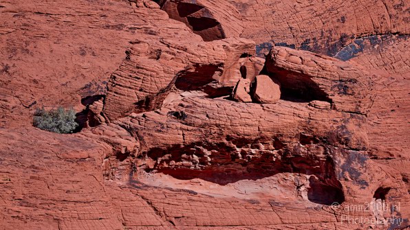 Red_Rock_Canyon_Nevada_USA_Nature_Photography_022_Canon_EOS_7D.JPG