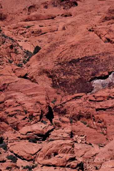 Red_Rock_Canyon_Nevada_USA_Nature_Photography_023_Canon_EOS_7D.JPG