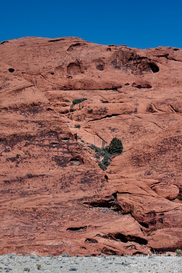 Red_Rock_Canyon_Nevada_USA_Nature_Photography_026_Canon_EOS_7D.JPG
