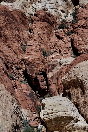 Red_Rock_Canyon_Nevada_USA_Nature_Photography_029_Canon_EOS_7D.JPG