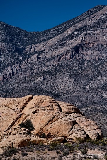 Red_Rock_Canyon_Nevada_USA_Nature_Photography_036_Canon_EOS_7D.JPG