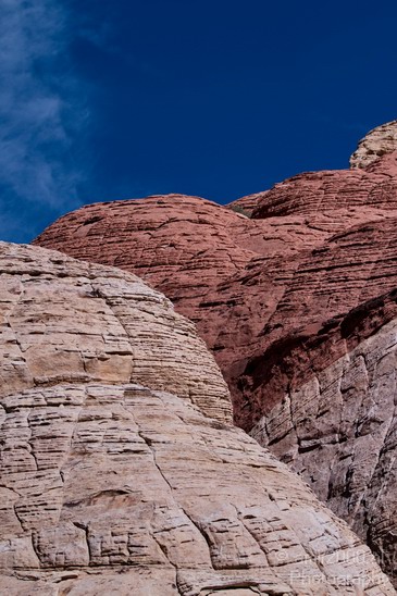 Red_Rock_Canyon_Nevada_USA_Nature_Photography_037_Canon_EOS_7D.JPG