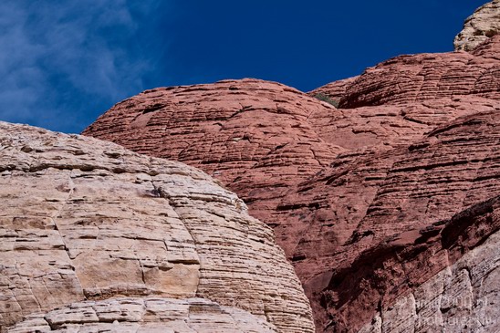 Red_Rock_Canyon_Nevada_USA_Nature_Photography_038_Canon_EOS_7D.JPG