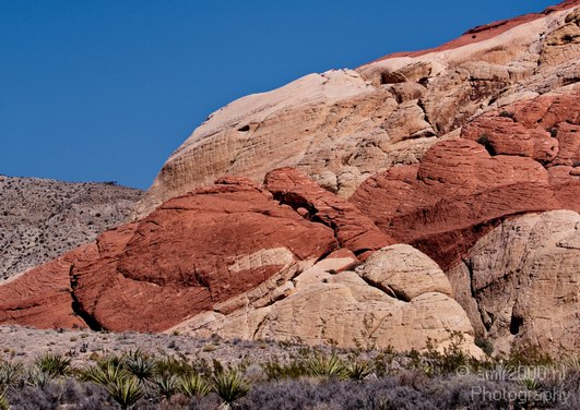 Red_Rock_Canyon_Nevada_USA_Nature_Photography_041_Canon_EOS_7D.JPG