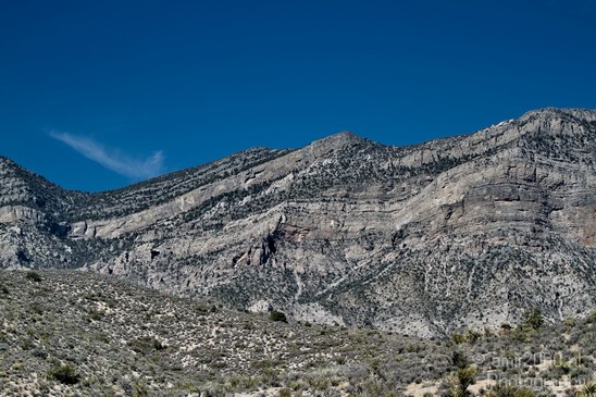 Red_Rock_Canyon_Nevada_USA_Nature_Photography_046_Canon_EOS_7D.JPG