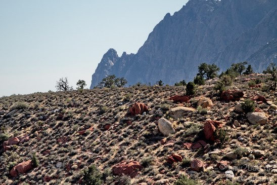Red_Rock_Canyon_Nevada_USA_Nature_Photography_053_Canon_EOS_7D.JPG