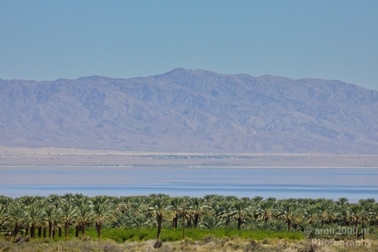 Salton_Sea_California_landscape_nature_fall_autumn_Usa_Photography_001_Canon_EOS_5D_Mark_IV.JPG