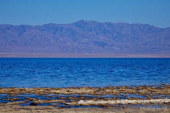 Salton_Sea_California_landscape_nature_fall_autumn_Usa_Photography_005_Canon_EOS_5D_Mark_IV.JPG