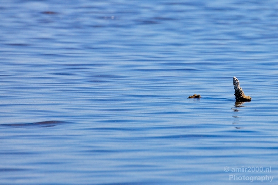 Salton_Sea_California_landscape_nature_fall_autumn_Usa_Photography_007_Canon_EOS_5D_Mark_IV.JPG