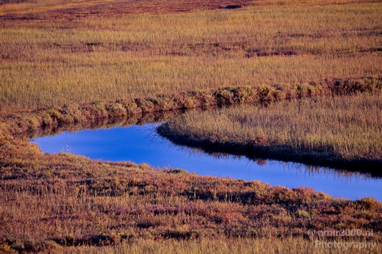 San_Diego_Bay_National_Wildlife_Refuge_California_nature_Usa_Photography_002_Canon_EOS_5D_Mark_IV.JPG