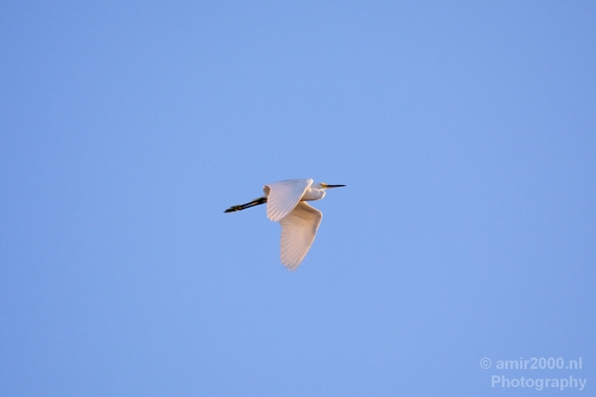 San_Diego_Bay_National_Wildlife_Refuge_California_nature_Usa_Photography_007_Canon_EOS_5D_Mark_IV.JPG
