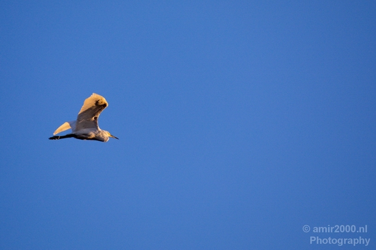 San_Diego_Bay_National_Wildlife_Refuge_California_nature_Usa_Photography_008_Canon_EOS_5D_Mark_IV.JPG
