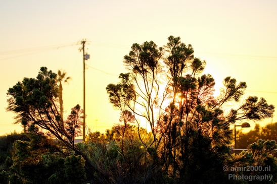 San_Diego_Bay_National_Wildlife_Refuge_California_nature_Usa_Photography_014_Canon_EOS_5D_Mark_IV.JPG
