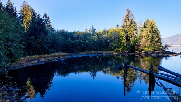 San_Juan_Bridge_Port_Renfrew_nature_landscape_British_Columbia_Canada_Usa_Photography_002_Canon_EOS_5D_Mark_IV.JPG