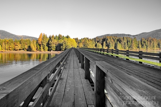 San_Juan_Bridge_Port_Renfrew_nature_landscape_British_Columbia_Canada_Usa_Photography_004_Canon_EOS_5D_Mark_IV.JPG
