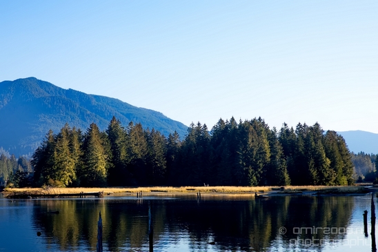 San_Juan_Bridge_Port_Renfrew_nature_landscape_British_Columbia_Canada_Usa_Photography_005_Canon_EOS_5D_Mark_IV.JPG