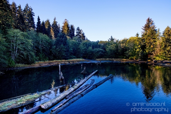 San_Juan_Bridge_Port_Renfrew_nature_landscape_British_Columbia_Canada_Usa_Photography_008_Canon_EOS_5D_Mark_IV.JPG