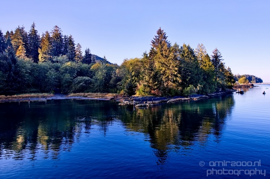 San_Juan_Bridge_Port_Renfrew_nature_landscape_British_Columbia_Canada_Usa_Photography_009_Canon_EOS_5D_Mark_IV.JPG