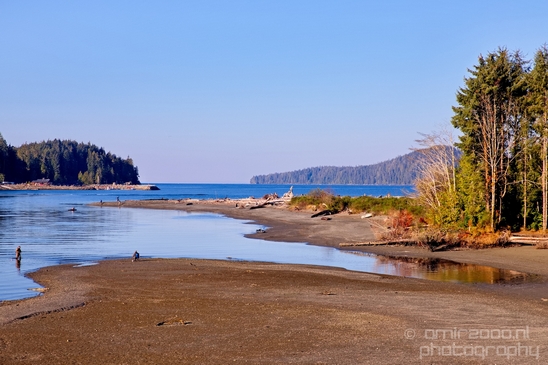 San_Juan_Bridge_Port_Renfrew_nature_landscape_British_Columbia_Canada_Usa_Photography_013_Canon_EOS_5D_Mark_IV.JPG