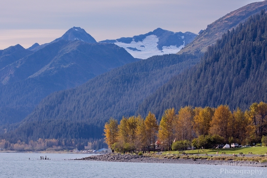Seward_Alaska_landscape_nature_fall_autumn_Photography_Usa_002_Canon_EOS_5D_Mark_IV.JPG