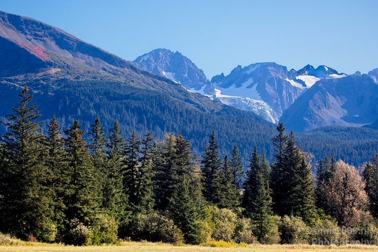 Seward_Alaska_landscape_nature_fall_autumn_Usa_Photography_003_Canon_EOS_5D_Mark_IV.JPG