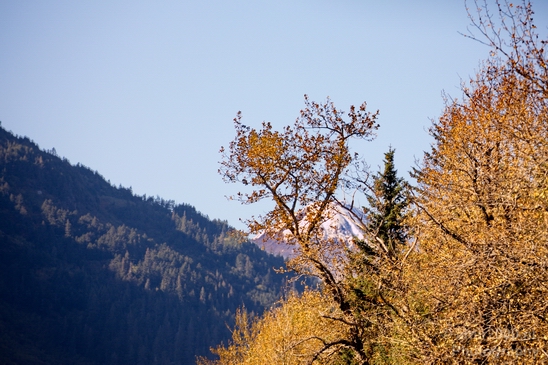Seward_Alaska_landscape_nature_fall_autumn_Usa_Photography_006_Canon_EOS_5D_Mark_IV.JPG