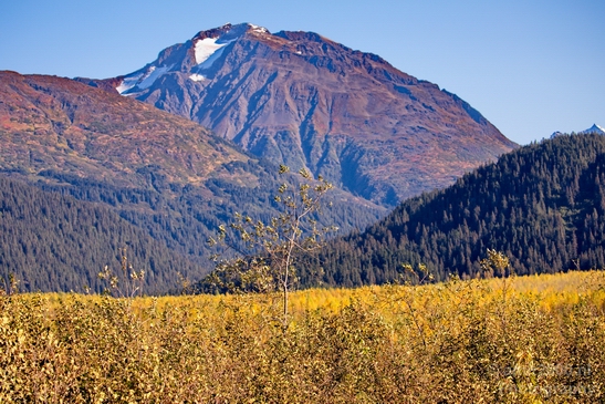 Seward_Alaska_landscape_nature_fall_autumn_Usa_Photography_010_Canon_EOS_5D_Mark_IV.JPG