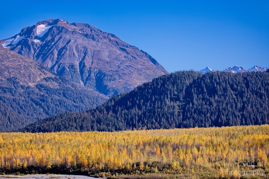 Seward_Alaska_landscape_nature_fall_autumn_Usa_Photography_011_Canon_EOS_5D_Mark_IV.JPG