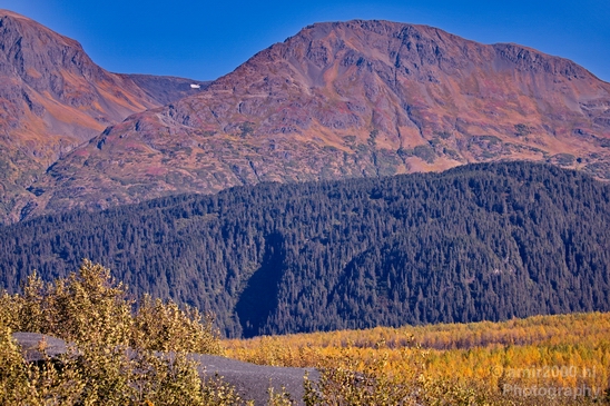 Seward_Alaska_landscape_nature_fall_autumn_Usa_Photography_012_Canon_EOS_5D_Mark_IV.JPG