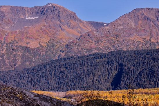 Seward_Alaska_landscape_nature_fall_autumn_Usa_Photography_017_Canon_EOS_5D_Mark_IV.JPG