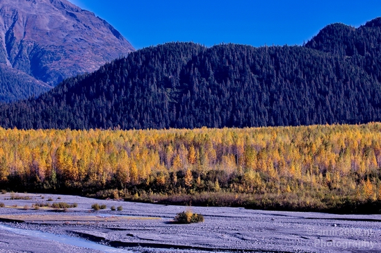 Seward_Alaska_landscape_nature_fall_autumn_Usa_Photography_019_Canon_EOS_5D_Mark_IV.JPG