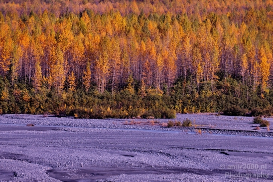 Seward_Alaska_landscape_nature_fall_autumn_Usa_Photography_020_Canon_EOS_5D_Mark_IV.JPG