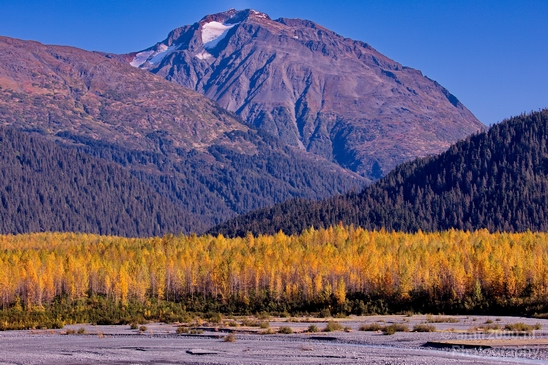 Seward_Alaska_landscape_nature_fall_autumn_Usa_Photography_021_Canon_EOS_5D_Mark_IV.JPG