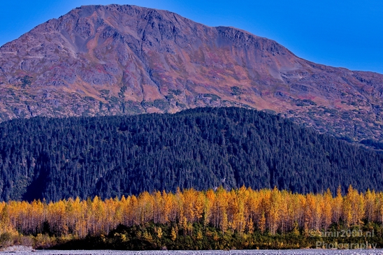 Seward_Alaska_landscape_nature_fall_autumn_Usa_Photography_023_Canon_EOS_5D_Mark_IV.JPG
