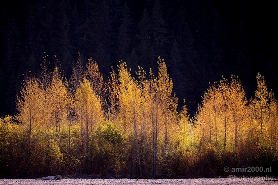 Seward_Alaska_landscape_nature_fall_autumn_Usa_Photography_029_Canon_EOS_5D_Mark_IV.JPG