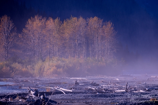 Seward_Alaska_landscape_nature_fall_autumn_Usa_Photography_030_Canon_EOS_5D_Mark_IV.JPG
