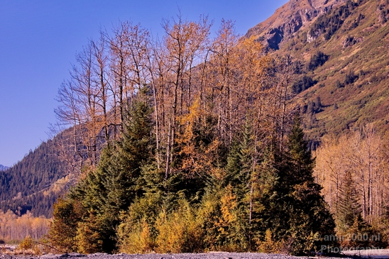 Seward_Alaska_landscape_nature_fall_autumn_Usa_Photography_031_Canon_EOS_5D_Mark_IV.JPG