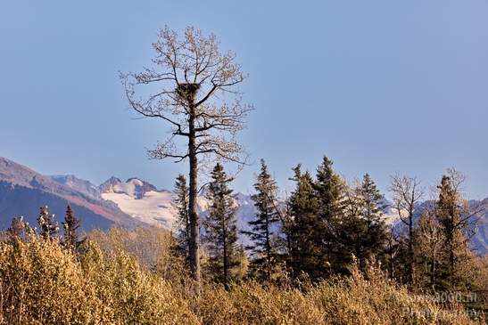 Seward_Alaska_landscape_nature_fall_autumn_Usa_Photography_034_Canon_EOS_5D_Mark_IV.JPG