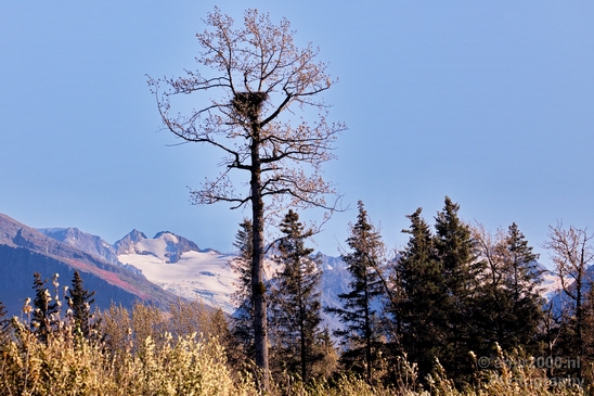 Seward_Alaska_landscape_nature_fall_autumn_Usa_Photography_037_Canon_EOS_5D_Mark_IV.JPG