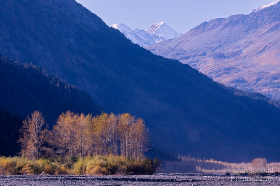 Seward_Alaska_landscape_nature_fall_autumn_Usa_Photography_038_Canon_EOS_5D_Mark_IV.JPG